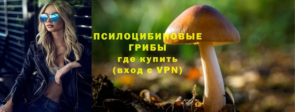 крисы Алзамай