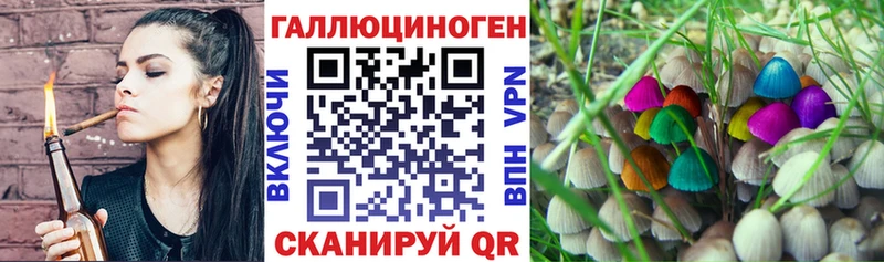 наркота Орлов даркнет наркотические препараты Псилоцибиновые грибы MAGIC MUSHROOMS блэк спрут вход
